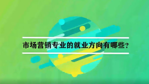 市场营销策划 从象牙塔到操盘手的职业路径解析
