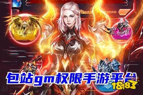 从推广员到操盘手 游戏代理的市场营销策划实战指南